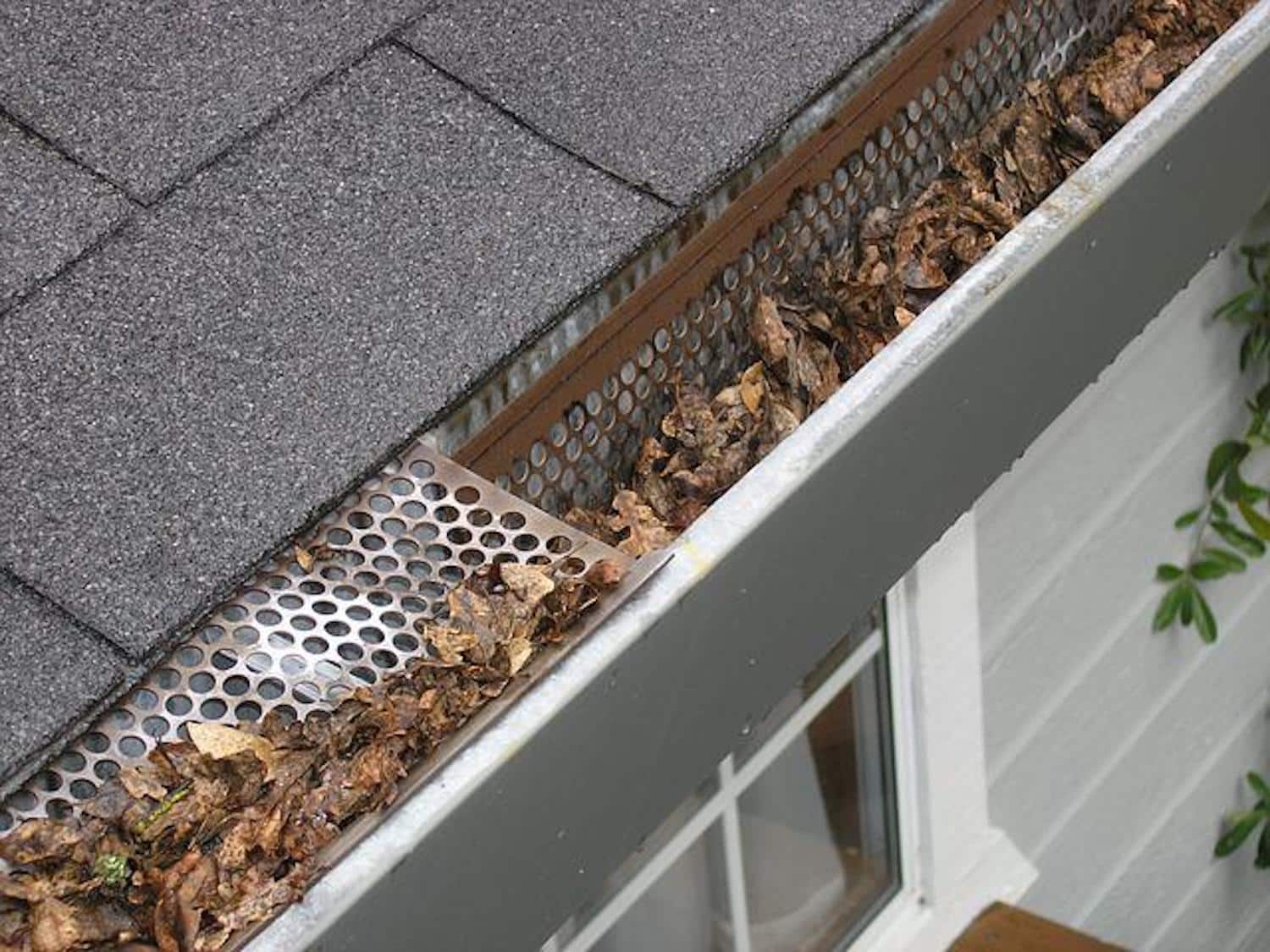 does home insurance cover gutters leaves